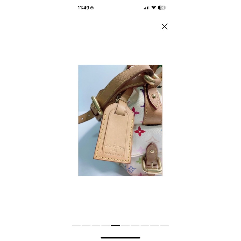 Louis Vuitton Multicolor Bucket Bag